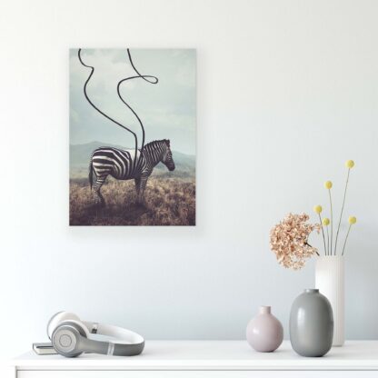 Animals and Living (11754CV) - Image 7