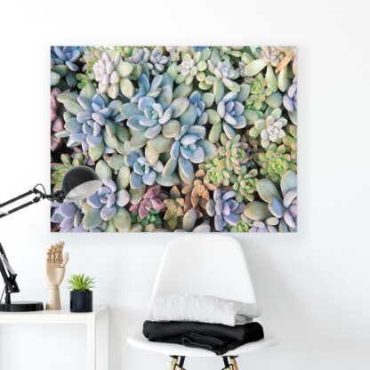 Plants (11757CV) - Image 2