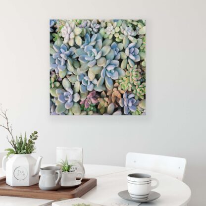 Plants (11757CV) - Image 3