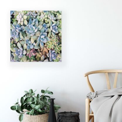 Plants (11757CV) - Image 5