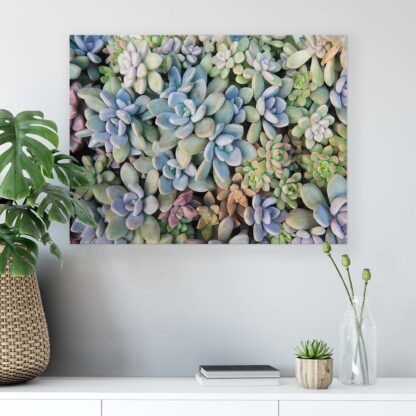 Plants (11757CV) - Image 6