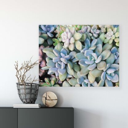 Plants (11757CV) - Image 7