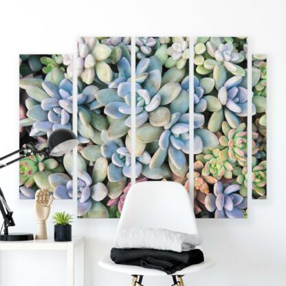 Plants (11757CV) - Image 9