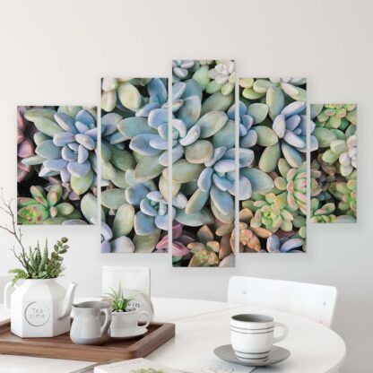 Plants (11757CV) - Image 10