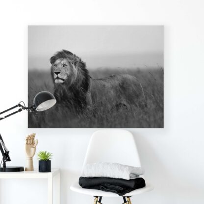 Animals and Living (11760CV) - Image 2