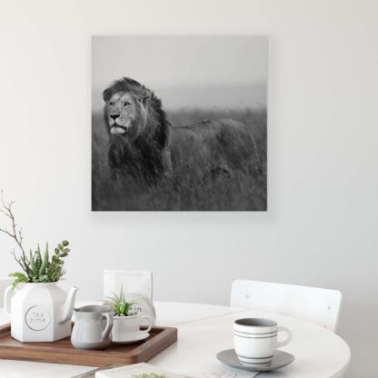 Animals and Living (11760CV) - Image 3