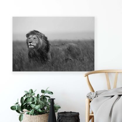 Animals and Living (11760CV) - Image 4