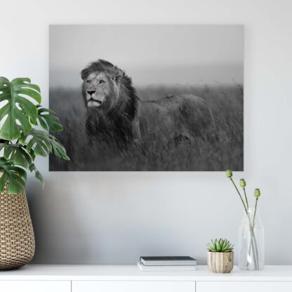 Animals and Living (11760CV) - Image 6