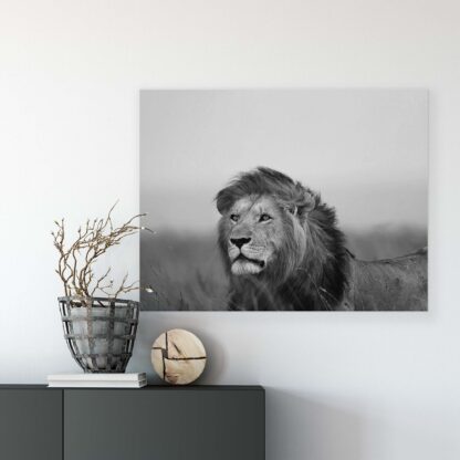 Animals and Living (11760CV) - Image 7
