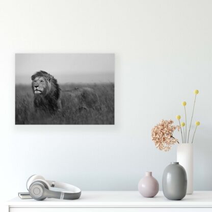 Animals and Living (11760CV) - Image 8