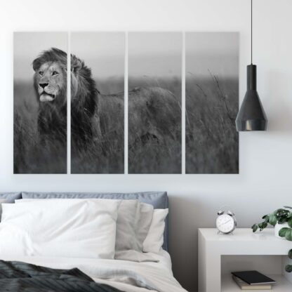 Animals and Living (11760CV) - Image 10
