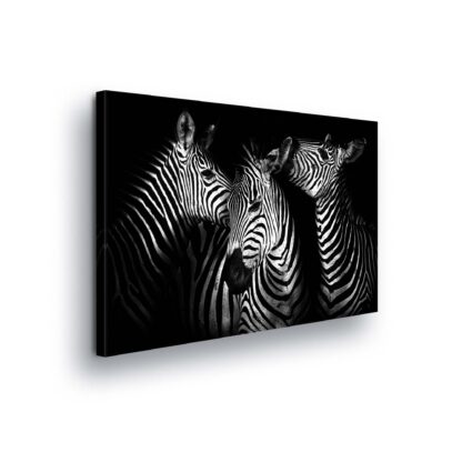Animals and Living (11761CV)