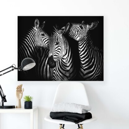Animals and Living (11761CV) - Image 2