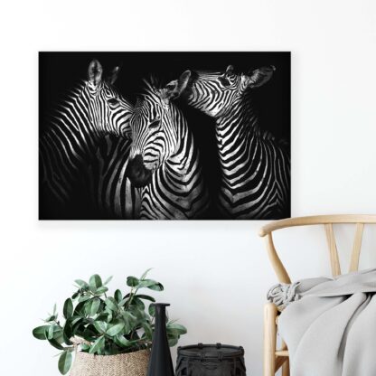 Animals and Living (11761CV) - Image 3
