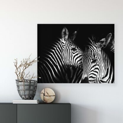 Animals and Living (11761CV) - Image 5