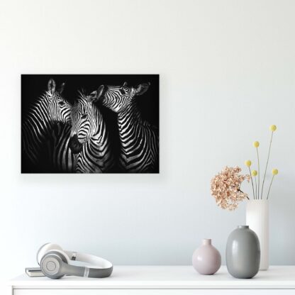 Animals and Living (11761CV) - Image 6