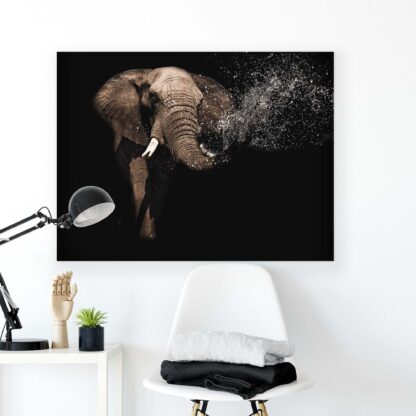 Animals and Living (11762CV) - Image 2