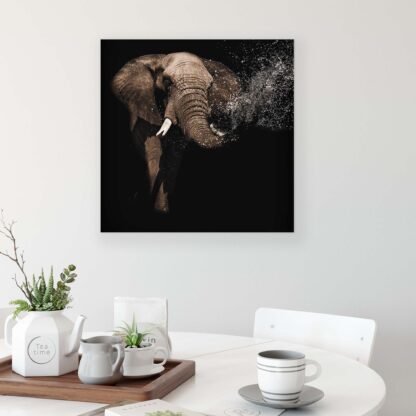 Animals and Living (11762CV) - Image 3