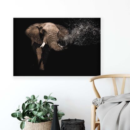 Animals and Living (11762CV) - Image 4