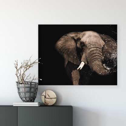 Animals and Living (11762CV) - Image 7