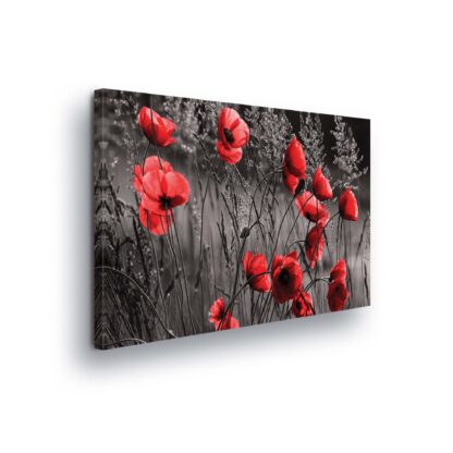 Flowers (11763CV)