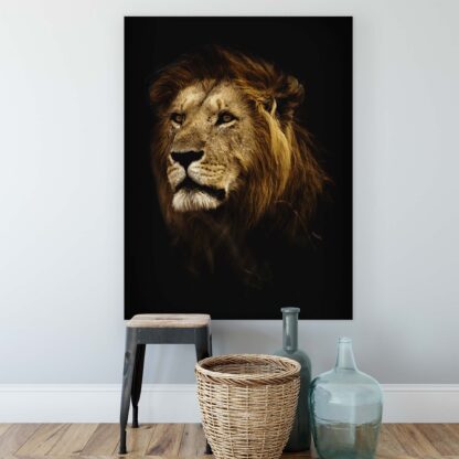 Animals and Living (11766CV) - Image 2