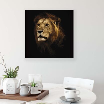 Animals and Living (11766CV) - Image 3