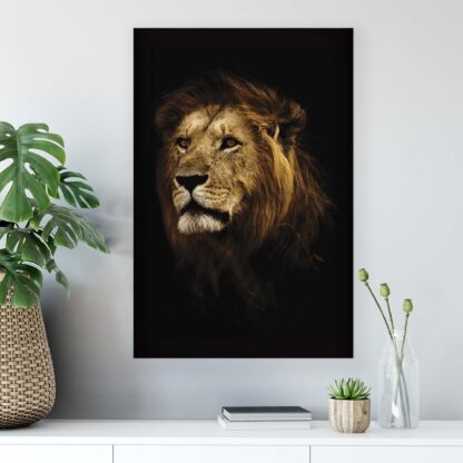 Animals and Living (11766CV) - Image 4