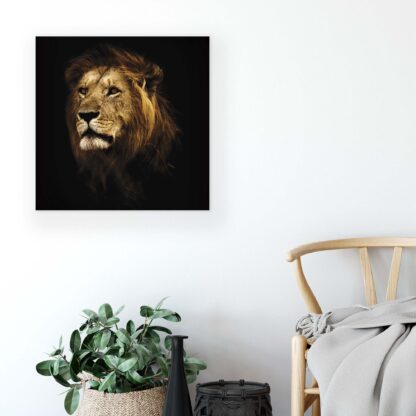 Animals and Living (11766CV) - Image 5