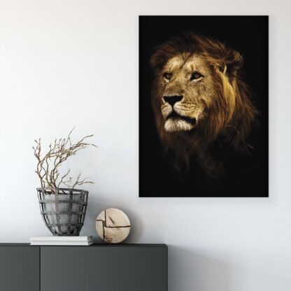Animals and Living (11766CV) - Image 6