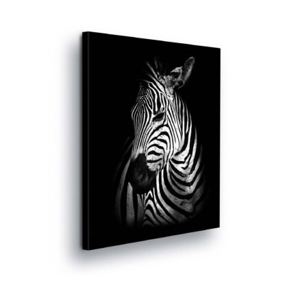 Animals and Living (11767CV)
