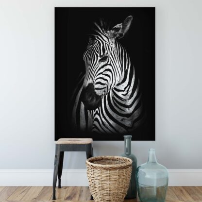 Animals and Living (11767CV) - Image 2