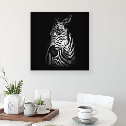 Animals and Living (11767CV) - Image 3
