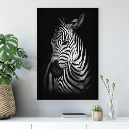 Animals and Living (11767CV) - Image 4