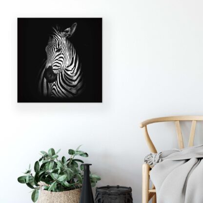 Animals and Living (11767CV) - Image 5