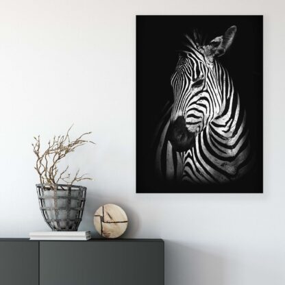 Animals and Living (11767CV) - Image 6