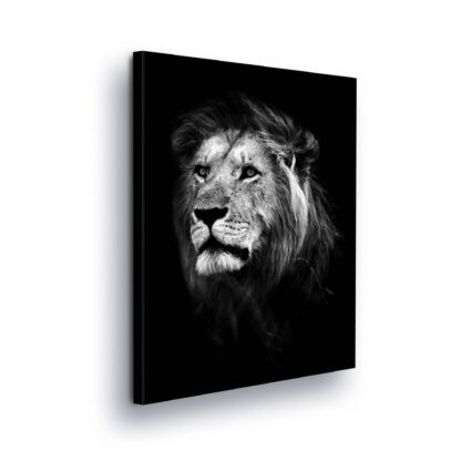 Animals and Living (11768CV)