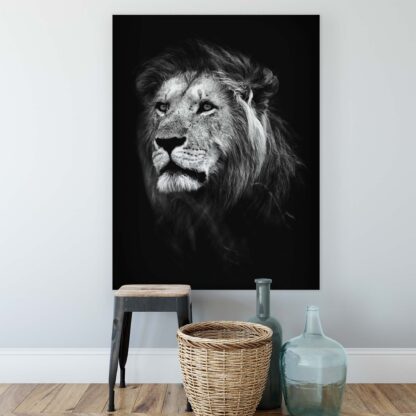 Animals and Living (11768CV) - Image 2