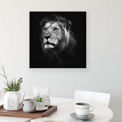 Animals and Living (11768CV) - Image 3