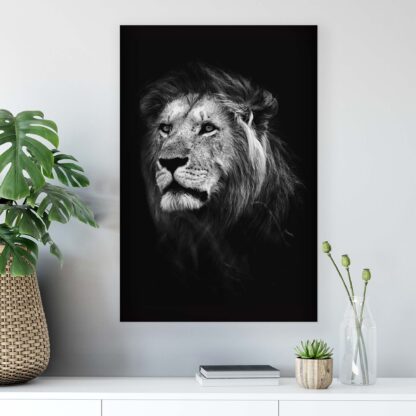 Animals and Living (11768CV) - Image 4