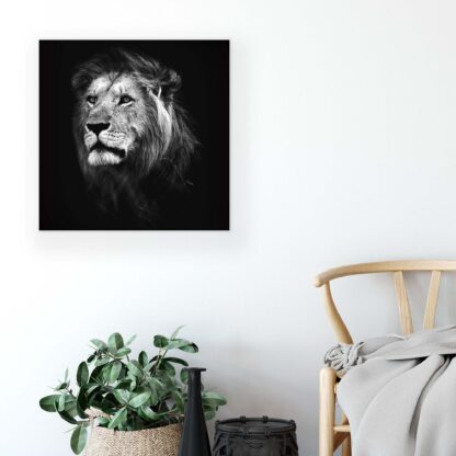 Animals and Living (11768CV) - Image 5