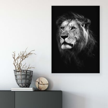 Animals and Living (11768CV) - Image 6