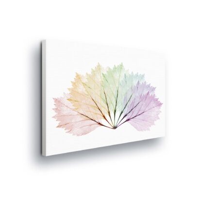 Forest and Trees (11783CV)