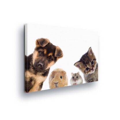 Animals and Living (11785CV)
