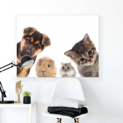 Animals and Living (11785CV) - Image 2