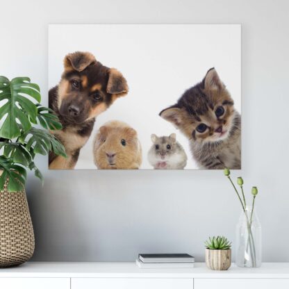 Animals and Living (11785CV) - Image 4