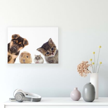 Animals and Living (11785CV) - Image 6