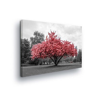 Gardens (11801CV)