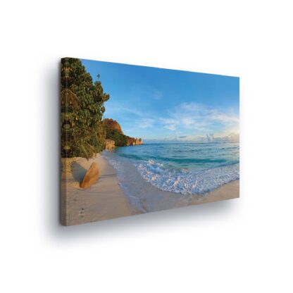 Tropical (11849CV)