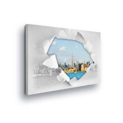 New York (11855CV)